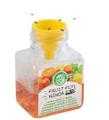 Fruit Fly Ninja Organic Non-Toxic Traps