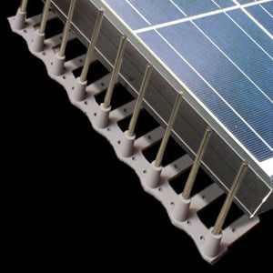 Solar Panel Bird Proofing (Ecologica.ie)