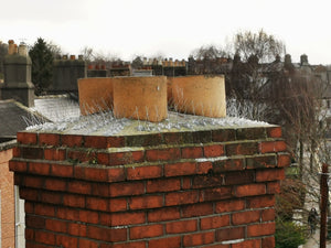 Ecologica Seagull Spiking for Chimneys