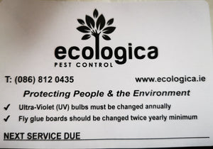Ecologica.ie Discreet Non-Toxic Fly Catch Glueboard Machine
