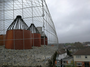 Ecologica Seagull Chimney Cage | Irish Design & Build