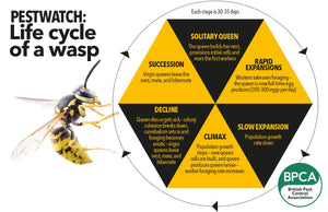 Waspbane Non-Toxic Wasp Trap