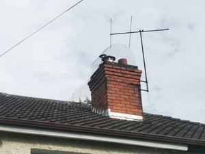 Seagull Cage for Chimneys