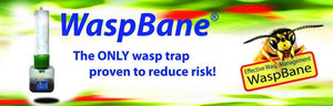 Waspbane Non-Toxic Wasp Trap